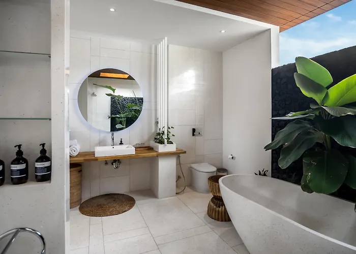 Villa Flow Ii Ubud